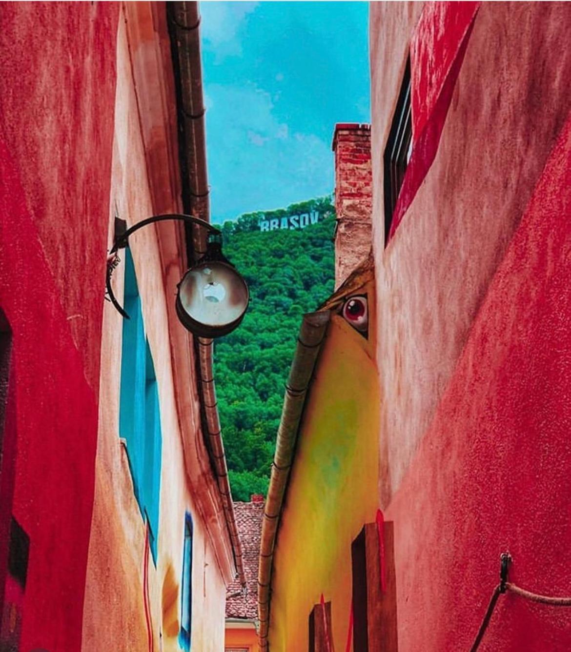 Appartamento Tree House-Old Town Braşov Esterno foto